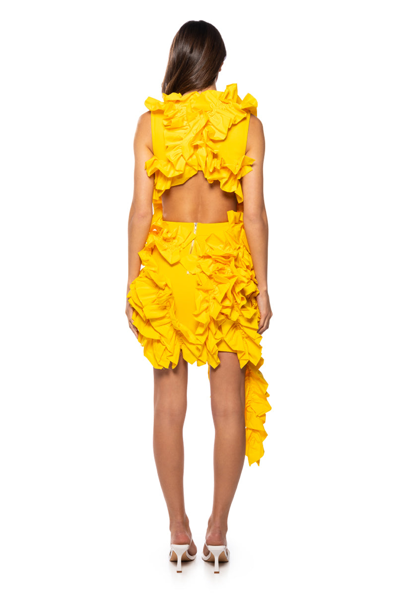 Detail View Kelsey Ruffle Open Back Mini Dress