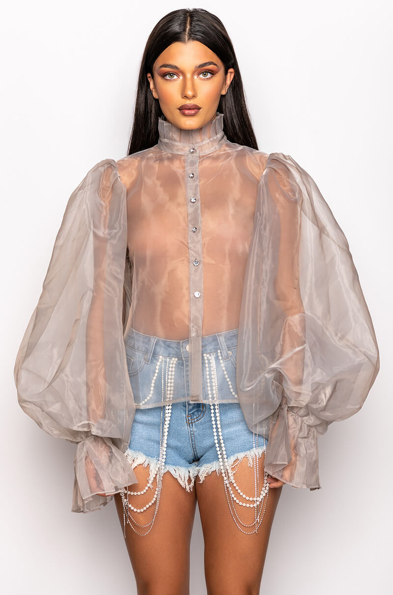 Back View Lady Like Puff Sleeve Blouse