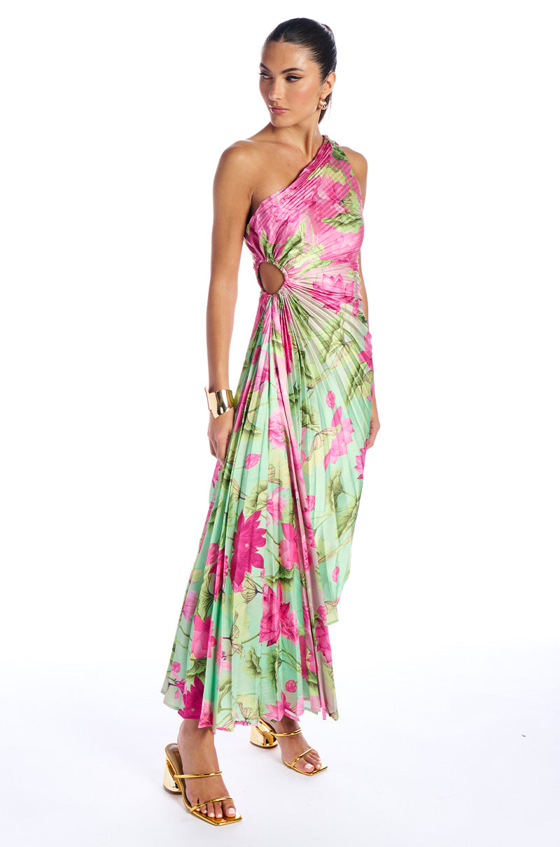 Back View Lazy Daisy Printed Midi Dress