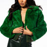 Front View Mi Amor Plush Faux Fur Jacket