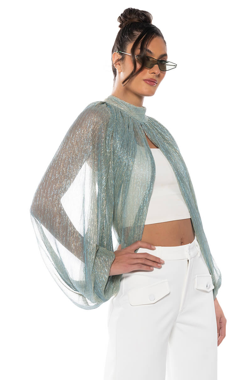 Side View Monica Sheer Overlay Blouse 1