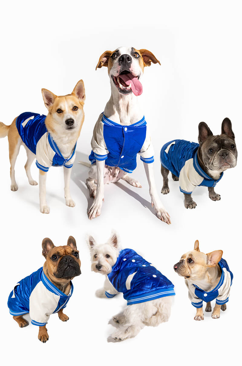 NO CAP MATCHING DOG BOMBER view 0