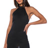 Front View Not A Want But A Need Sheer Mesh Halterneck Mini Dress