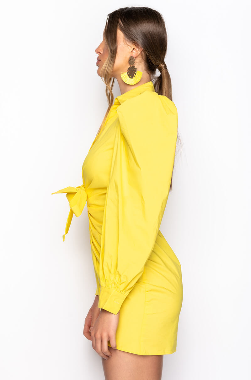 Detail View Out Of My Way Puff Sleeve Mini Dress