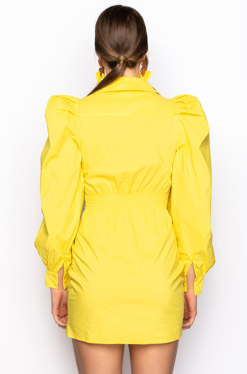 Full View Out Of My Way Puff Sleeve Mini Dress
