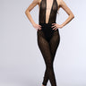 Front View Phoenix Plunging Neckline Lace Jumpsuit