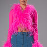 Front View Pink Angel Mesh Feather Trim Top