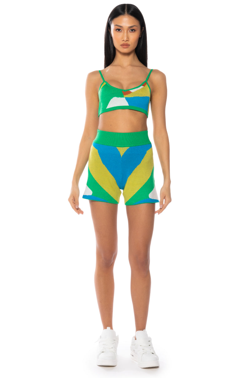 Back View Poppy Multicolor Knit Cropped Top