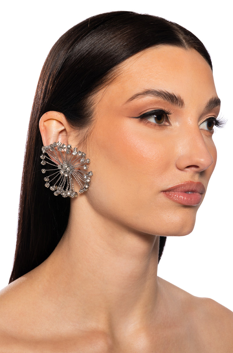 PRETTY PLEASE EARRING IN SILVER view 0