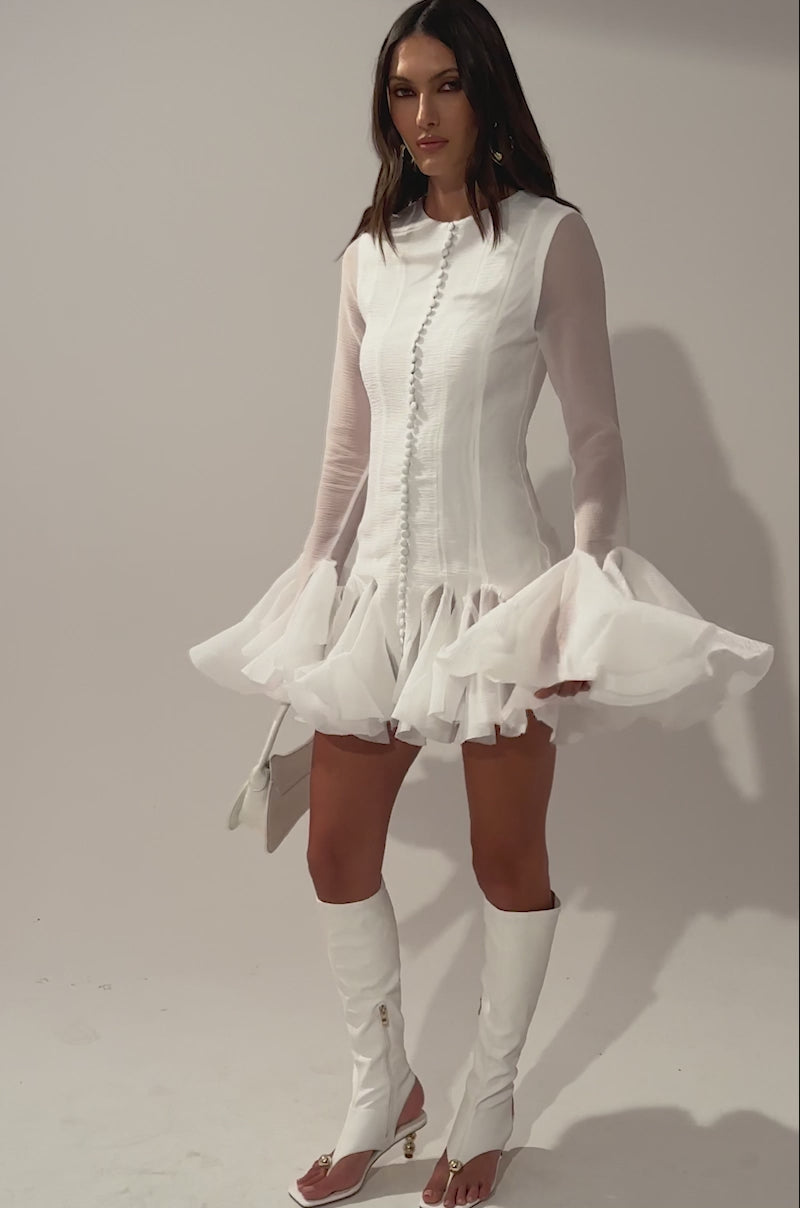 HOURS IN SILENCE RUFFLED MINI DRESS – AKIRA