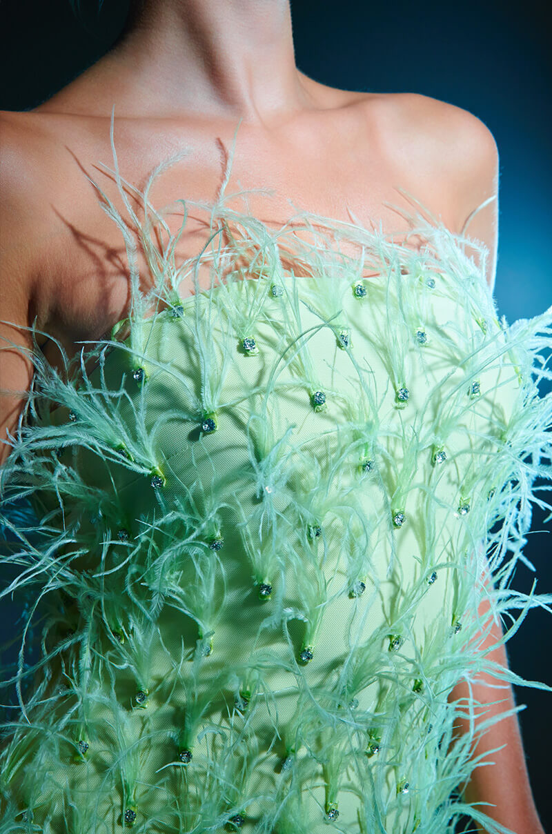 PRIMROSE STRAPLESS FEATHER MINI DRESS AKIRA PRIMROSE STRAPLESS FEATHER MINI DRESS AKIRA