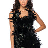 Front View Raven Feather Mini Dress