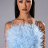 Front View Real Ostrich Feather Top