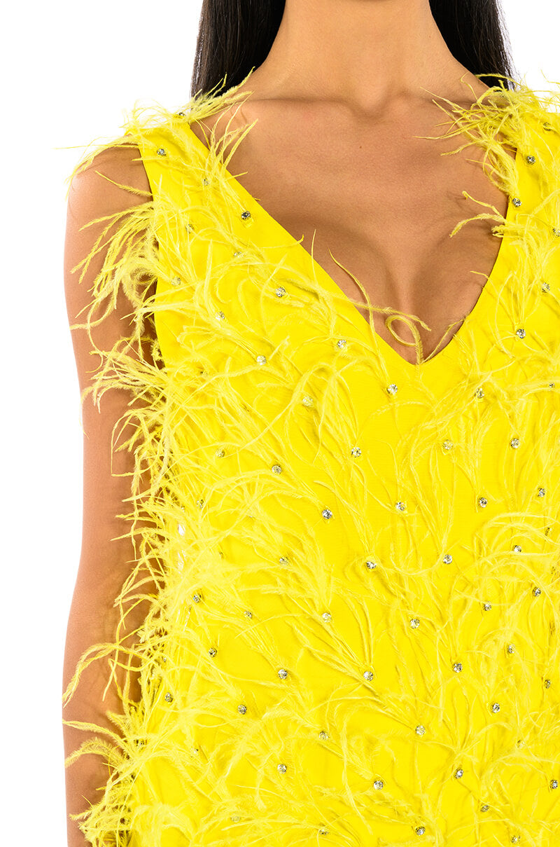 rendezvous sleeveless feather mini dress Akira Rendezvous Sleeveless Feather Mini Dress