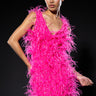 Front View Rendezvous Sleeveless Feather Mini Dress