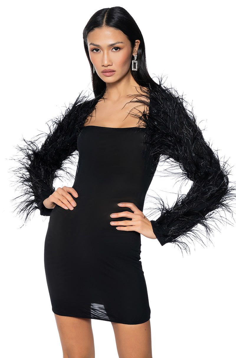 Front View Ruffle My Feathers Mesh Mini Dress