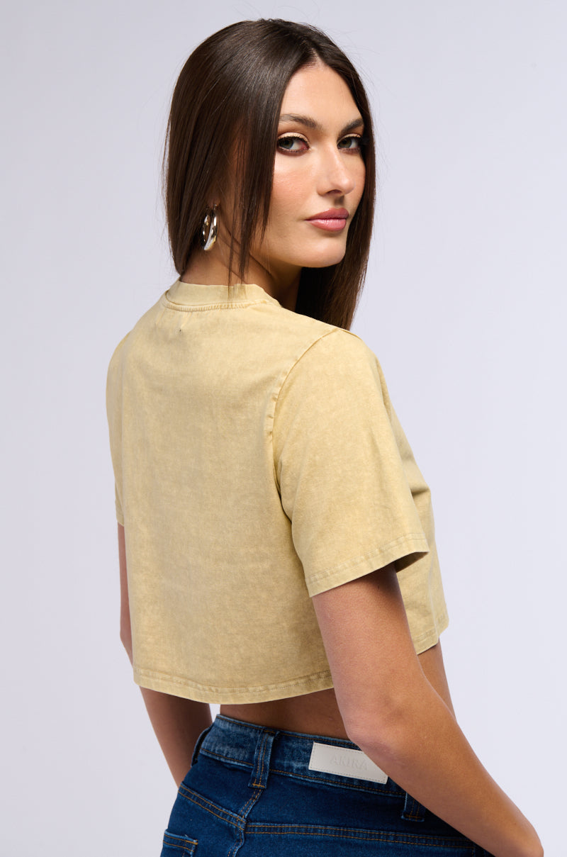 Back View Simple And Cute Embellished Neckline Shirt In Light Brown