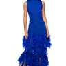 Front View Sleek And Chic Feather Maxi Dress