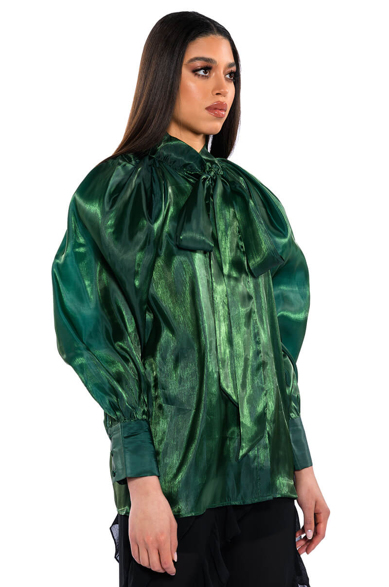 Side View Talulla Tie Neck Long Sleeve Blouse