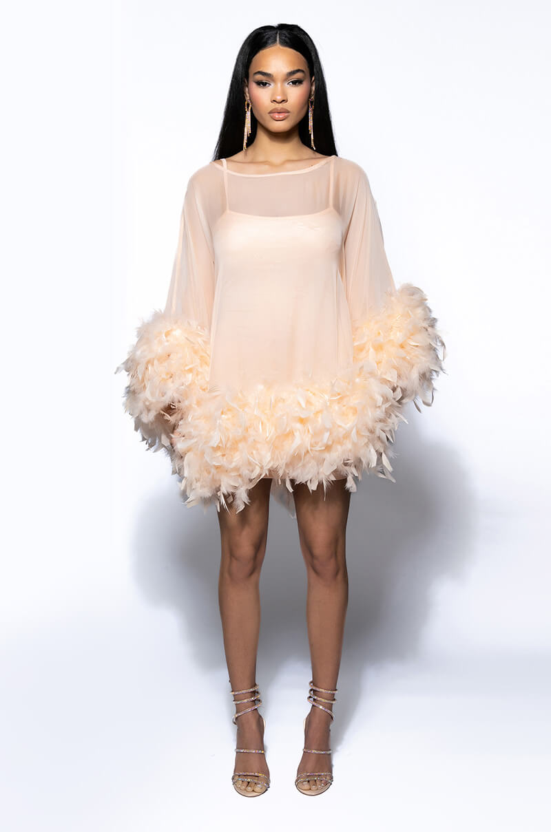 Extra View That Va Va Voom Long Sleeve Sheer Trapeze Dress