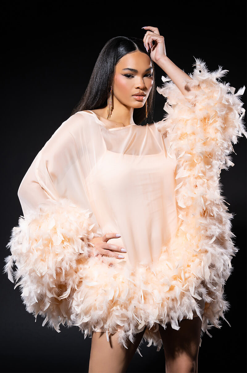 THAT VA VA VOOM LONG SLEEVE SHEER TRAPEZE DRESS view 0