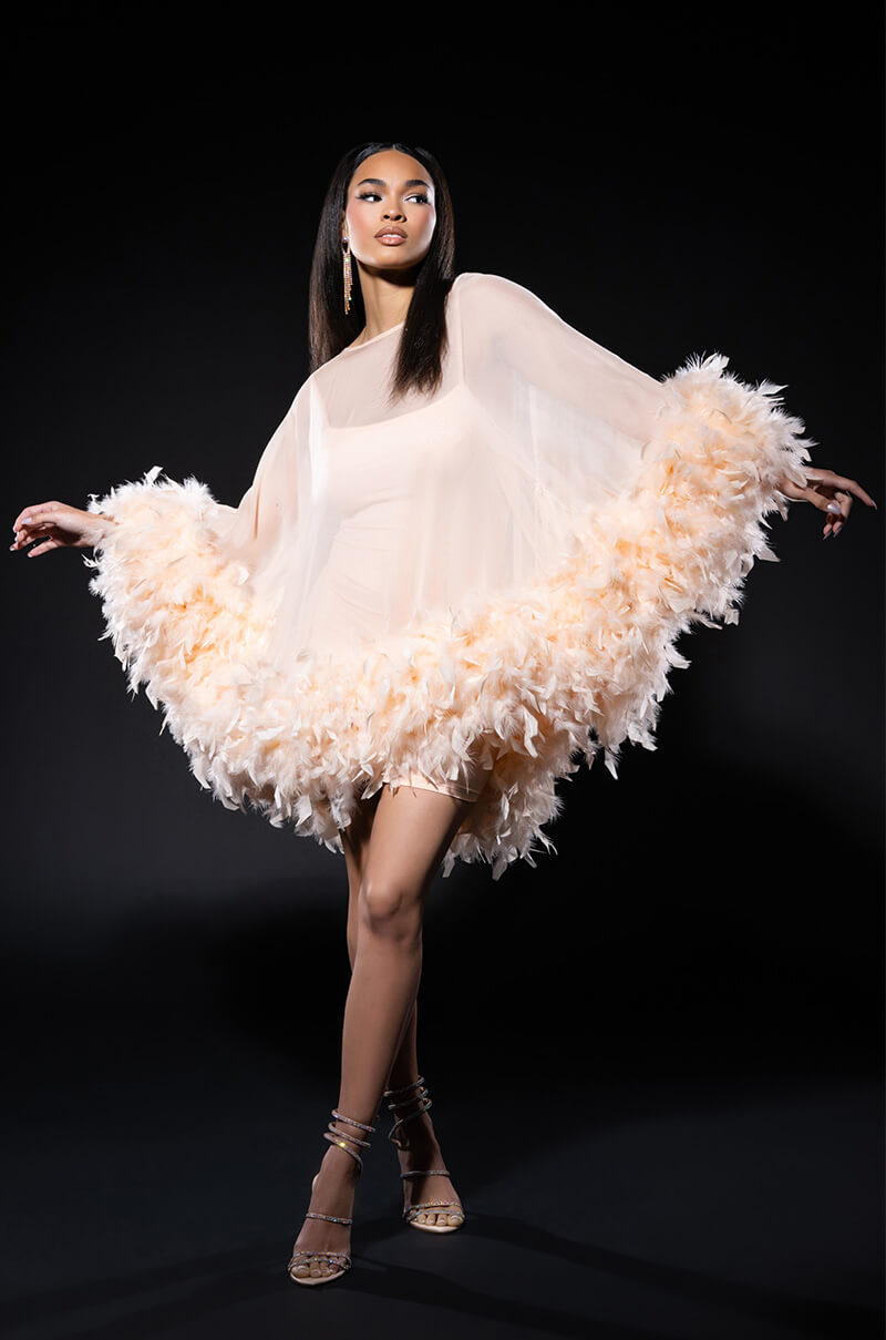 Back View That Va Va Voom Long Sleeve Sheer Trapeze Dress