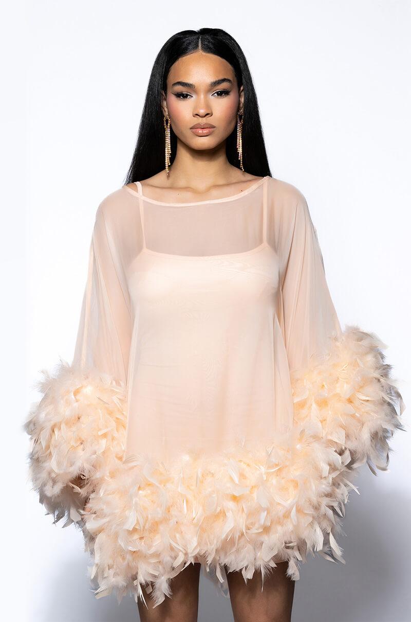 Full View That Va Va Voom Long Sleeve Sheer Trapeze Dress