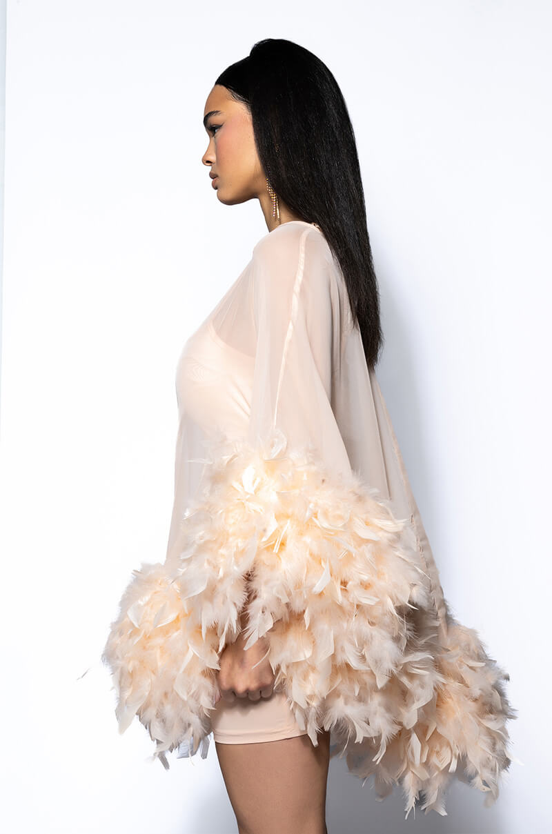 Extra View That Va Va Voom Long Sleeve Sheer Trapeze Dress