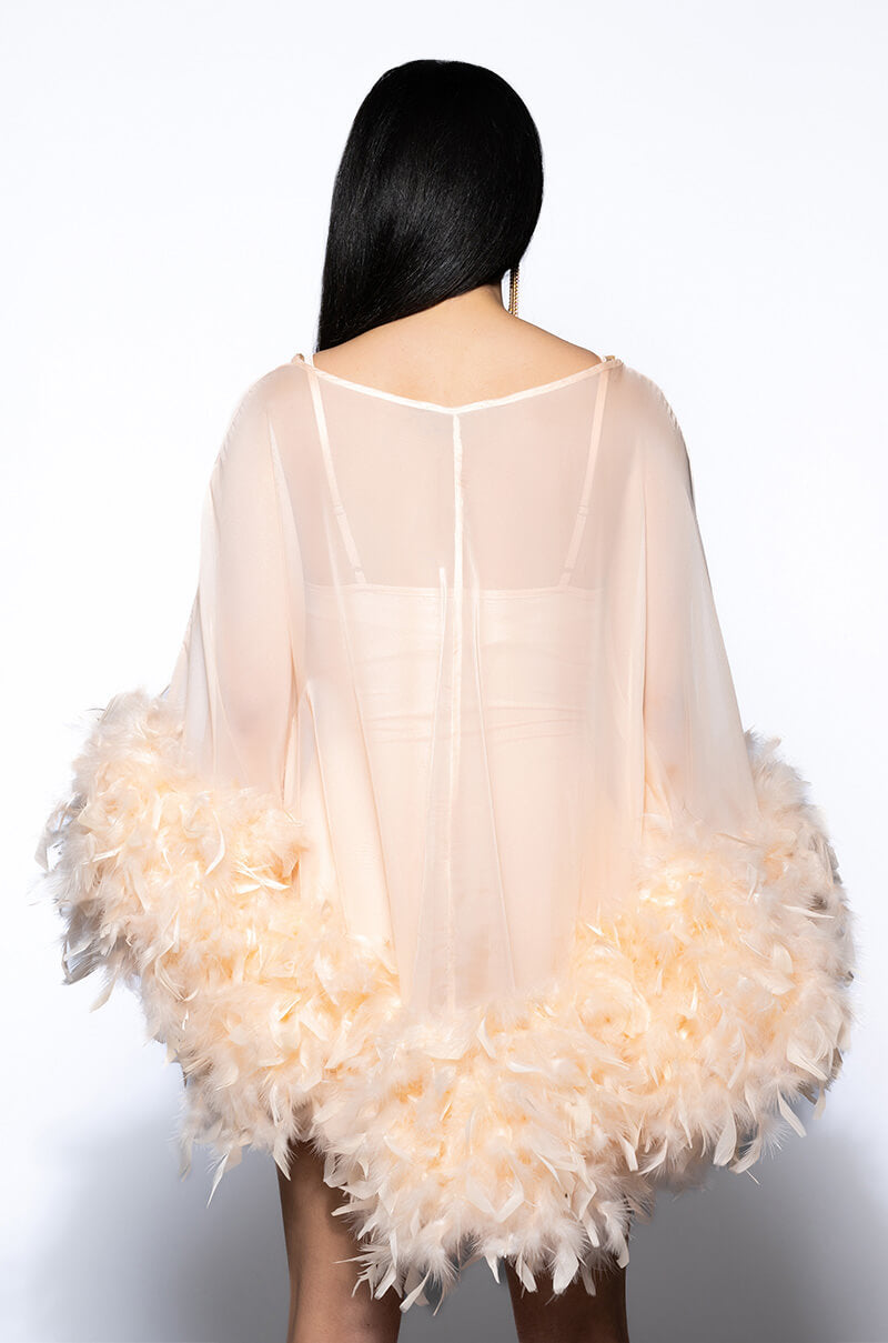 Extra View That Va Va Voom Long Sleeve Sheer Trapeze Dress