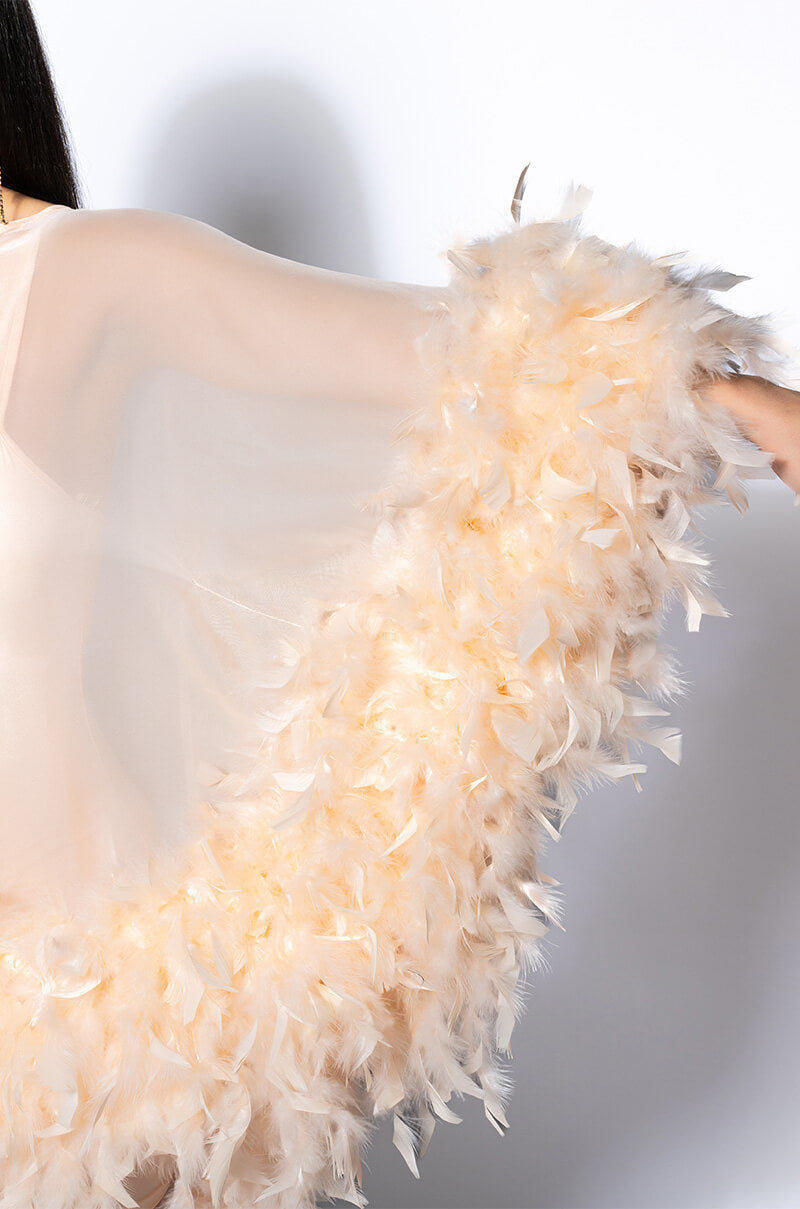 Extra View That Va Va Voom Long Sleeve Sheer Trapeze Dress