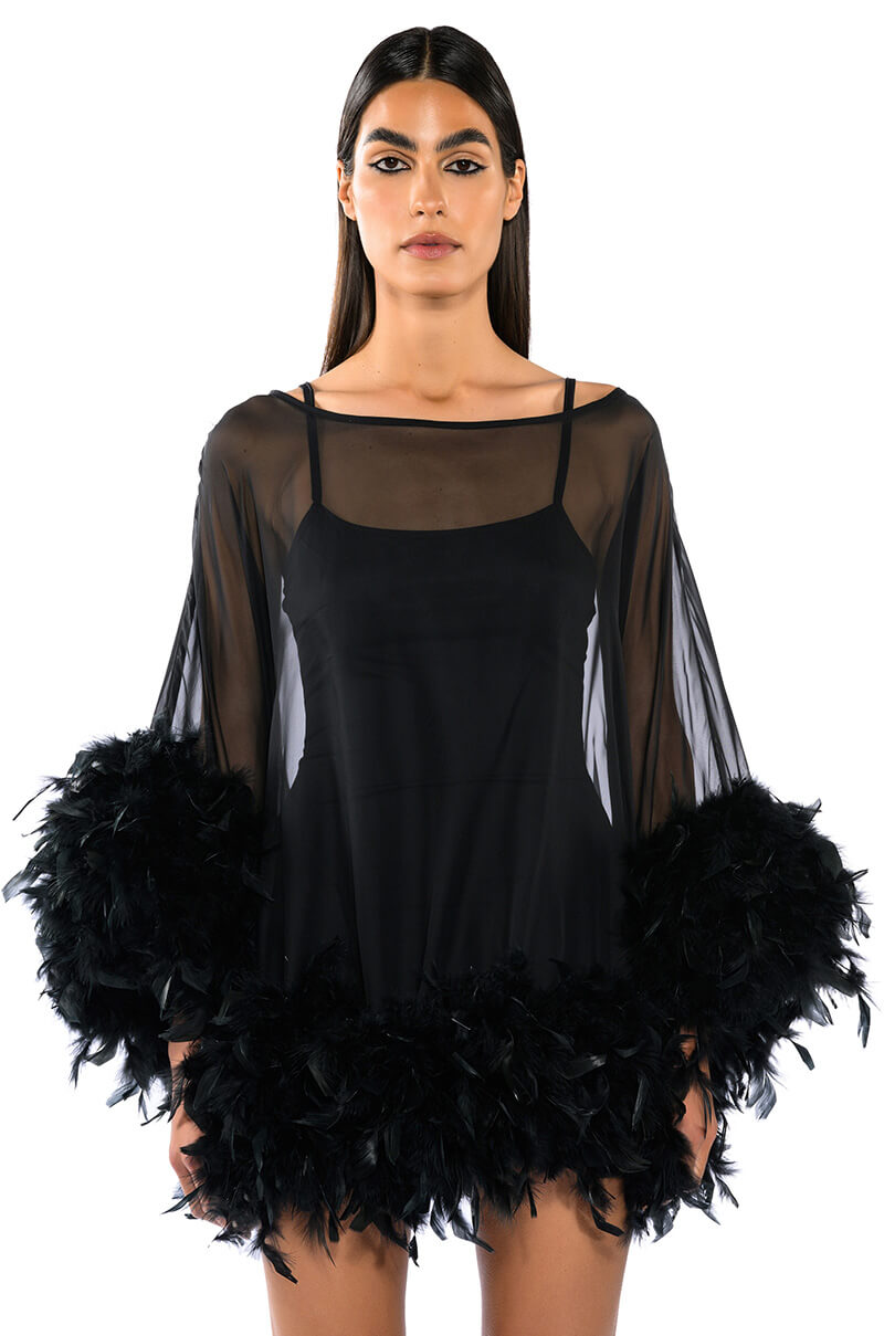 Front View That Va Va Voom Long Sleeve Sheer Trapeze Dress