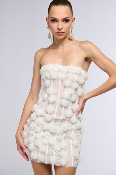 THE SECRET GARDEN MESH MINI DRESS – AKIRA