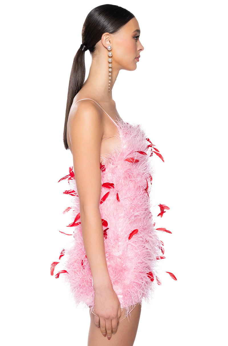Back View Two Birds And A Feather Mini Dress