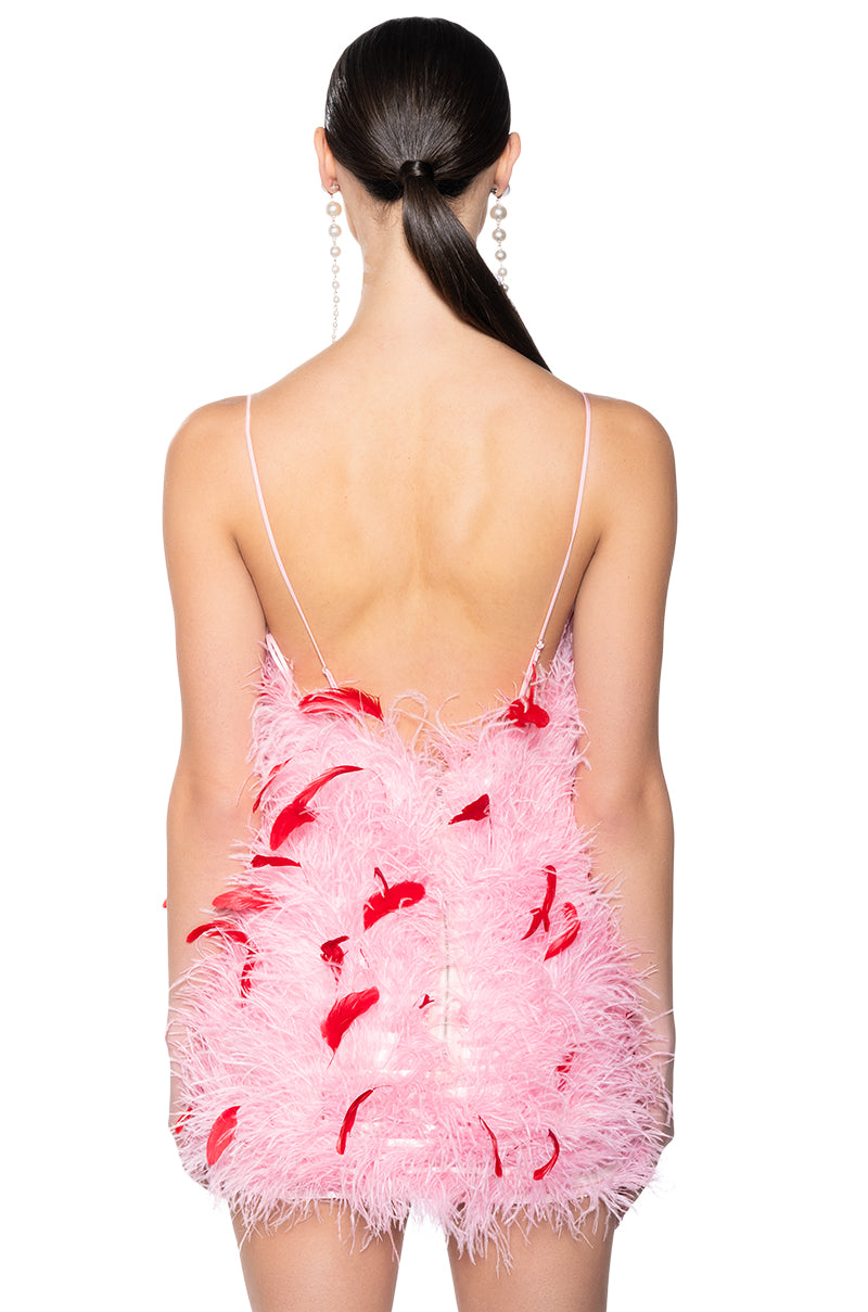 Detail View Two Birds And A Feather Mini Dress