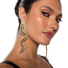 Front View Watch Out For Snakes Earring