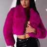 Front View Whats Not To Love Fur Jacket