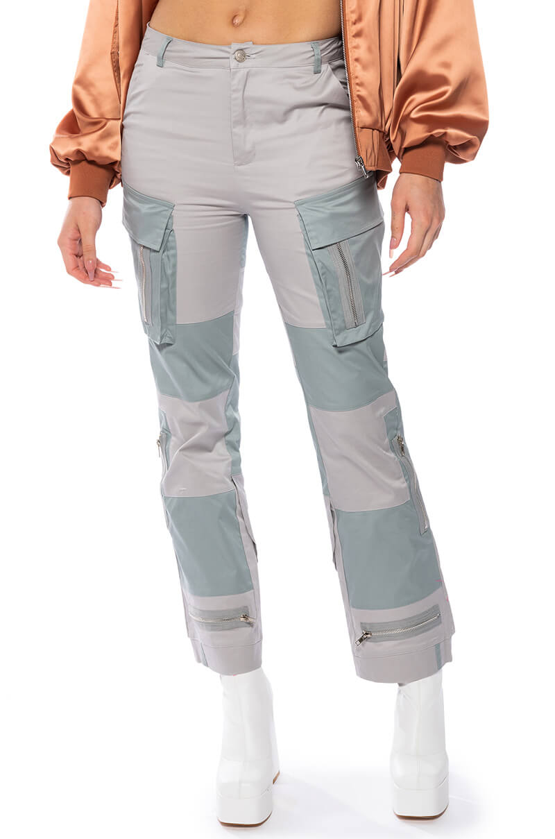 Front View Wild Ones Colorblock Cargo Pant view 1