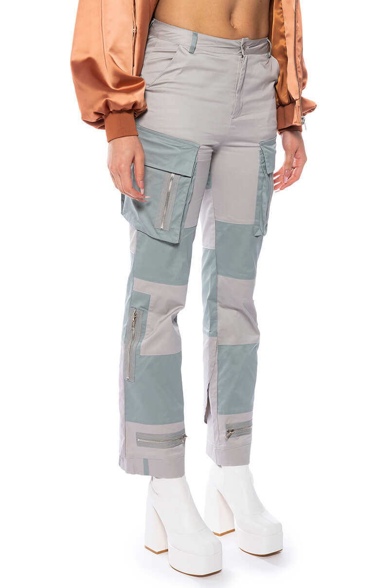 Side View Wild Ones Colorblock Cargo Pant view 2