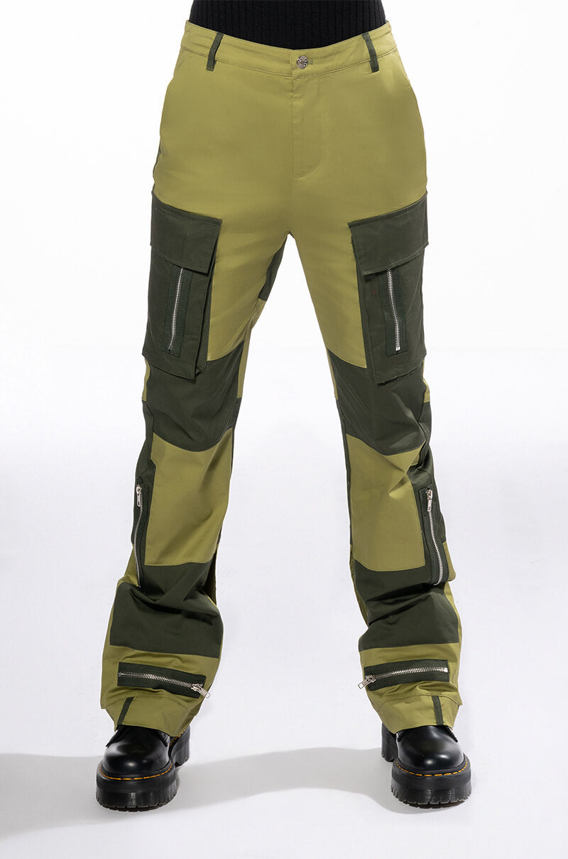 Back View Wild Ones Colorblock Cargo Pant view 3