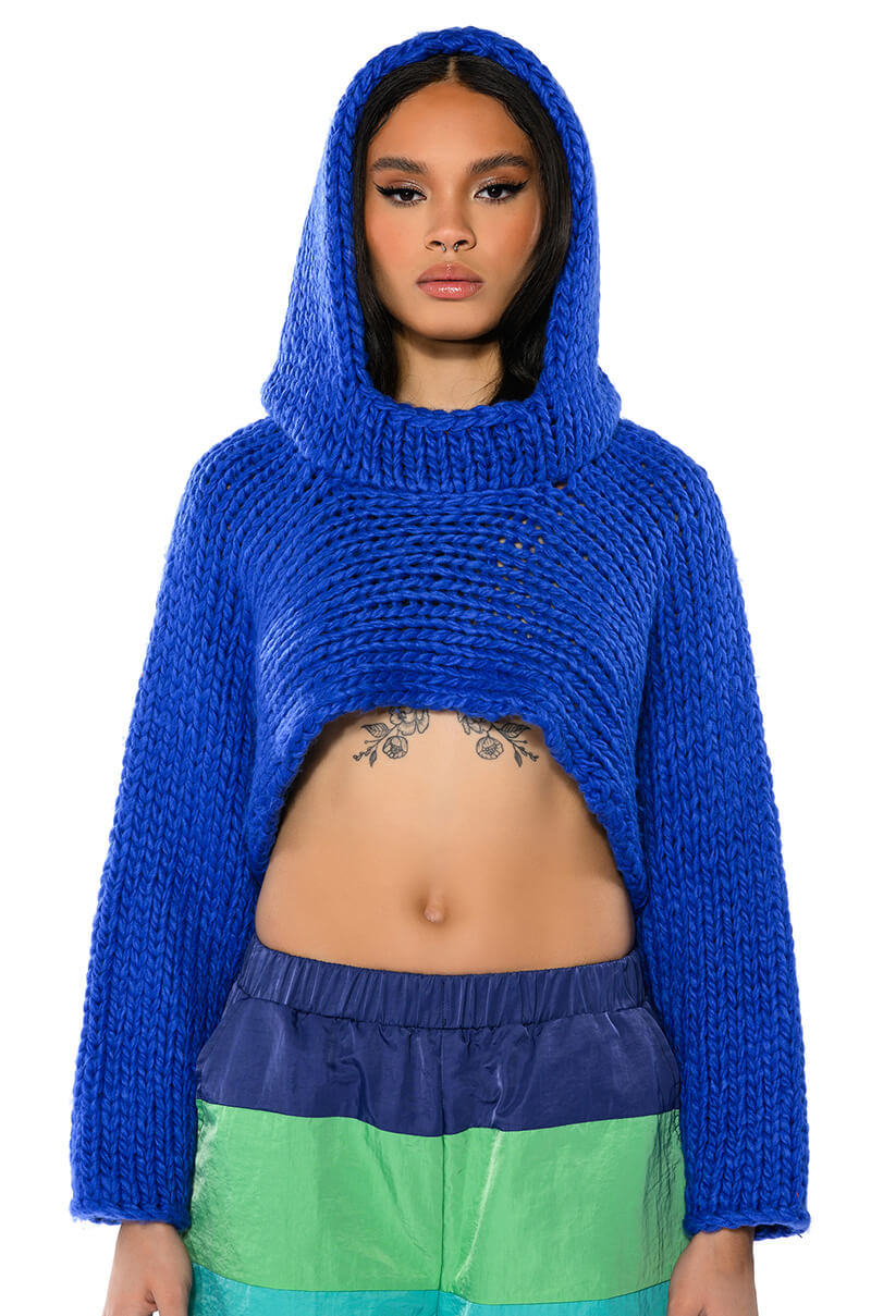Front View Willa Cropped Hooded Sweater