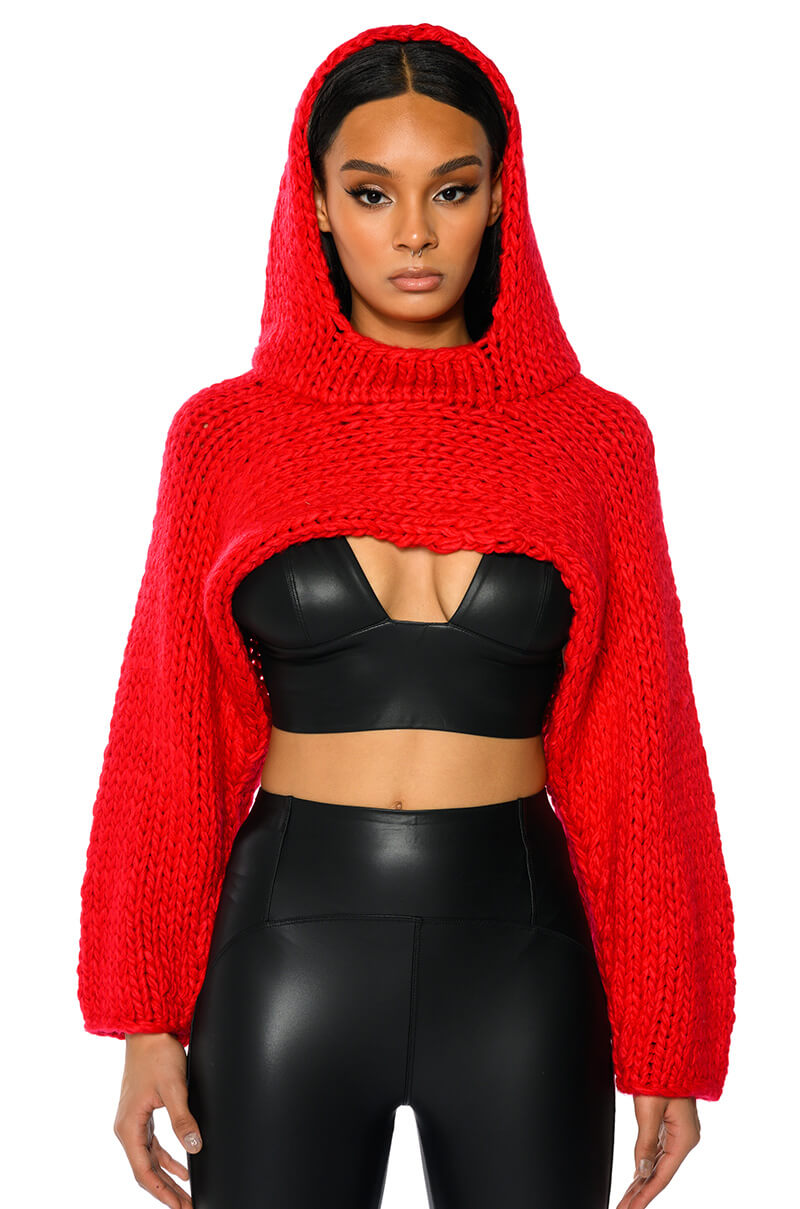 Front View Willa Cropped Hooded Sweater
