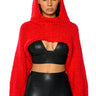 Front View Willa Cropped Hooded Sweater