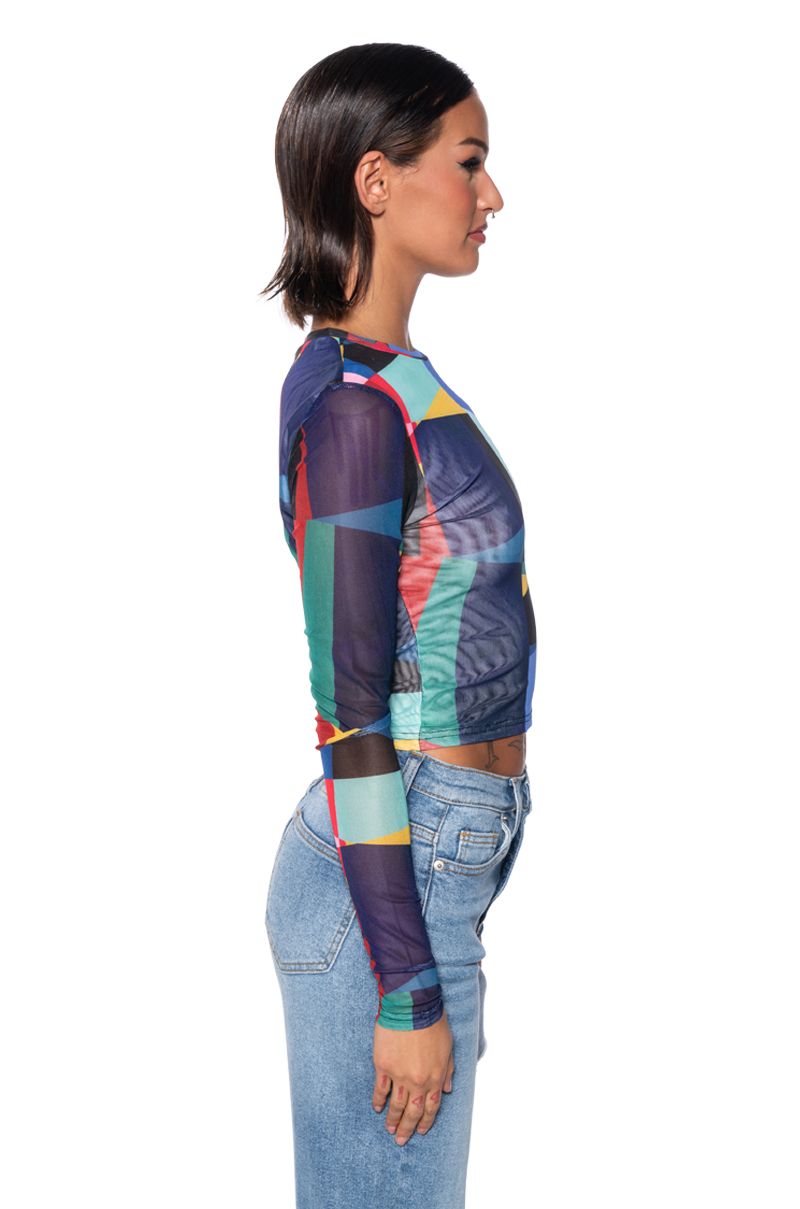 COLOR ME PRETTY LONG SLEEVE MESH TOP IN MULTI